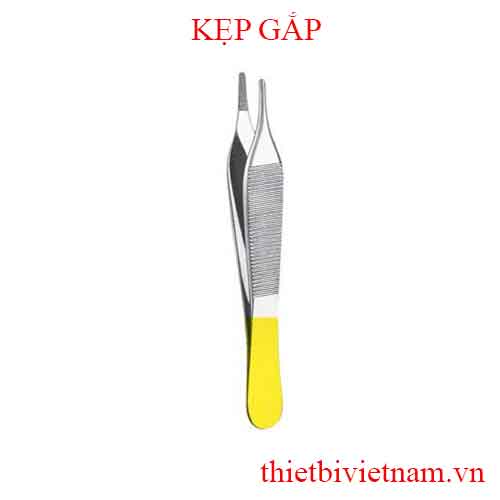 KẸP GẮP (DRESSING AND TISSUE FORCEPS)